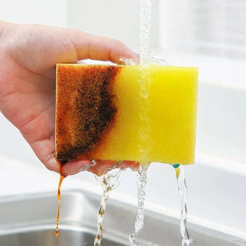 Double-Sided Sponge Brush